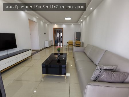 apartments and homes for rent and sale