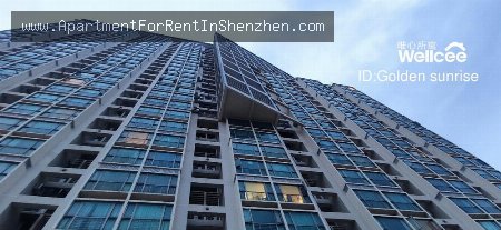 apartments and homes for rent and sale