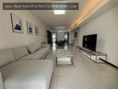 apartments and homes for rent and sale