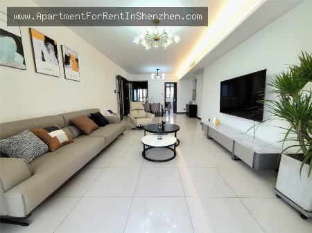 apartments and homes for rent and sale