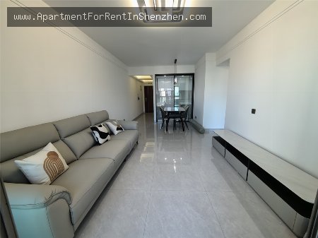 apartments and homes for rent and sale