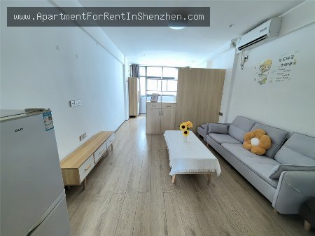 apartments and homes for rent and sale