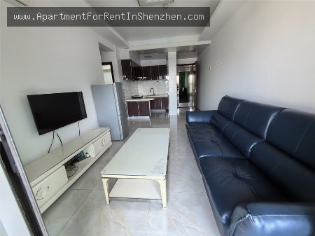 apartments and homes for rent and sale