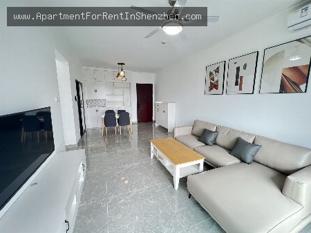 apartments and homes for rent and sale