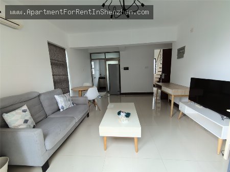 apartments and homes for rent and sale